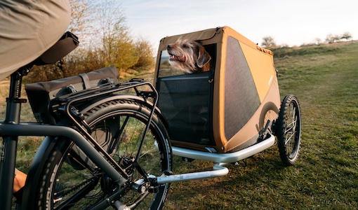 Fahrradfahren